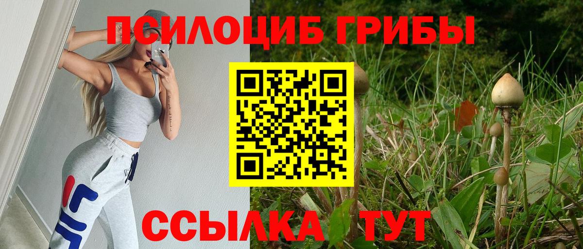 Галлюциногенные грибы Magic Shrooms  Вход с VPN  Улан-Удэ 
